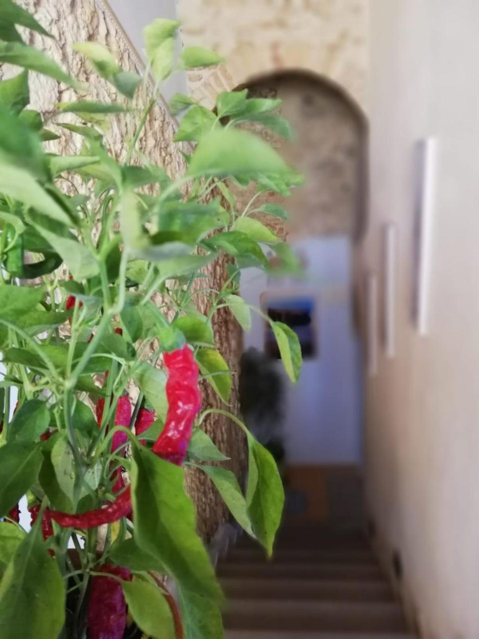 A Casa Di Alessandro トロペーア エクステリア 写真
